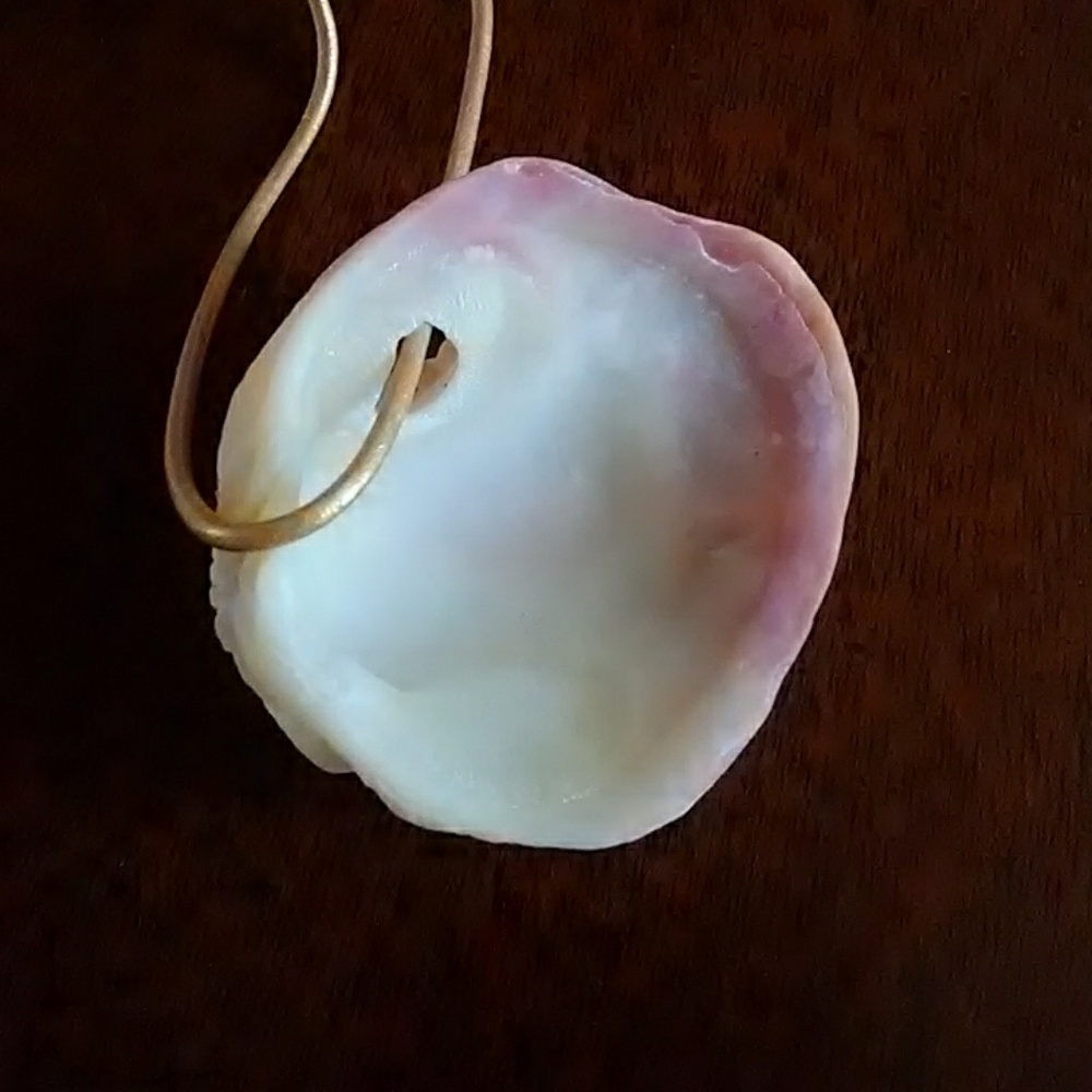 Shell necklace - Picture 2 of 2